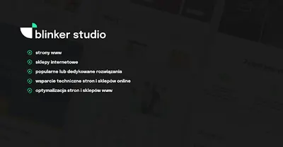 Strony www / sklepy internetowe / aplikacje - Blinker Studio